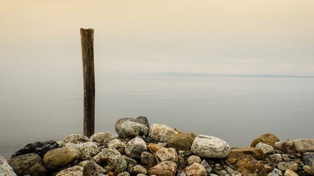 Can You Ace Classical Music?